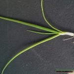 Bratko_Wlodarczyk2 (3)