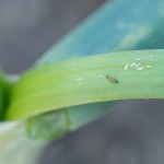 IMG_5551