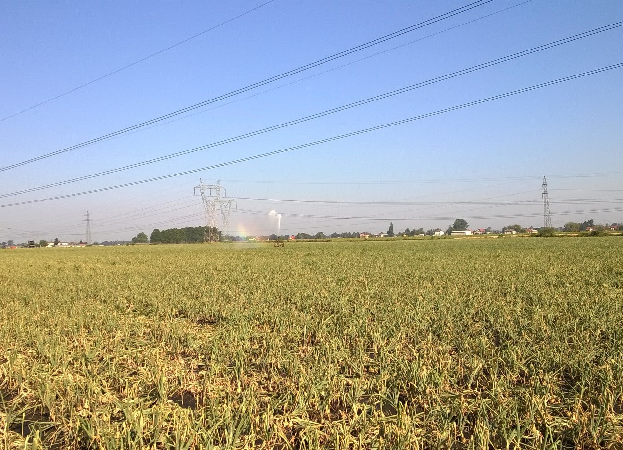 WP_20150812_09_04_19_Pro