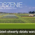 Ozarow1