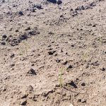 Vision_Kujawy_23 (2)