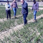 Wspólna lustracja agrotechnika nie pominie żadnego problemu